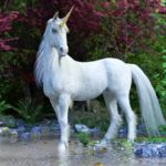 Licorne - Animal Totem